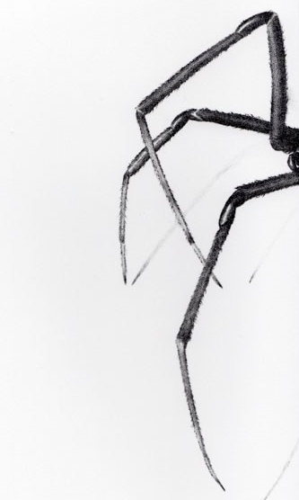 catherine_pilgrim_spider_legs-e1565393864337.jpg